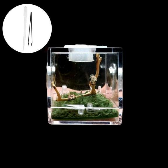 Jumping Spider Habitat Acrylic Breeding Box Cage For Spiders Insect E8U7AU- I7E6