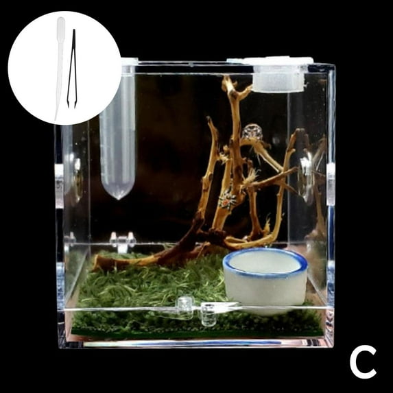 Jumping Spider Habitat Acrylic Breeding Box Cage for Spiders Small Insects US J4G9