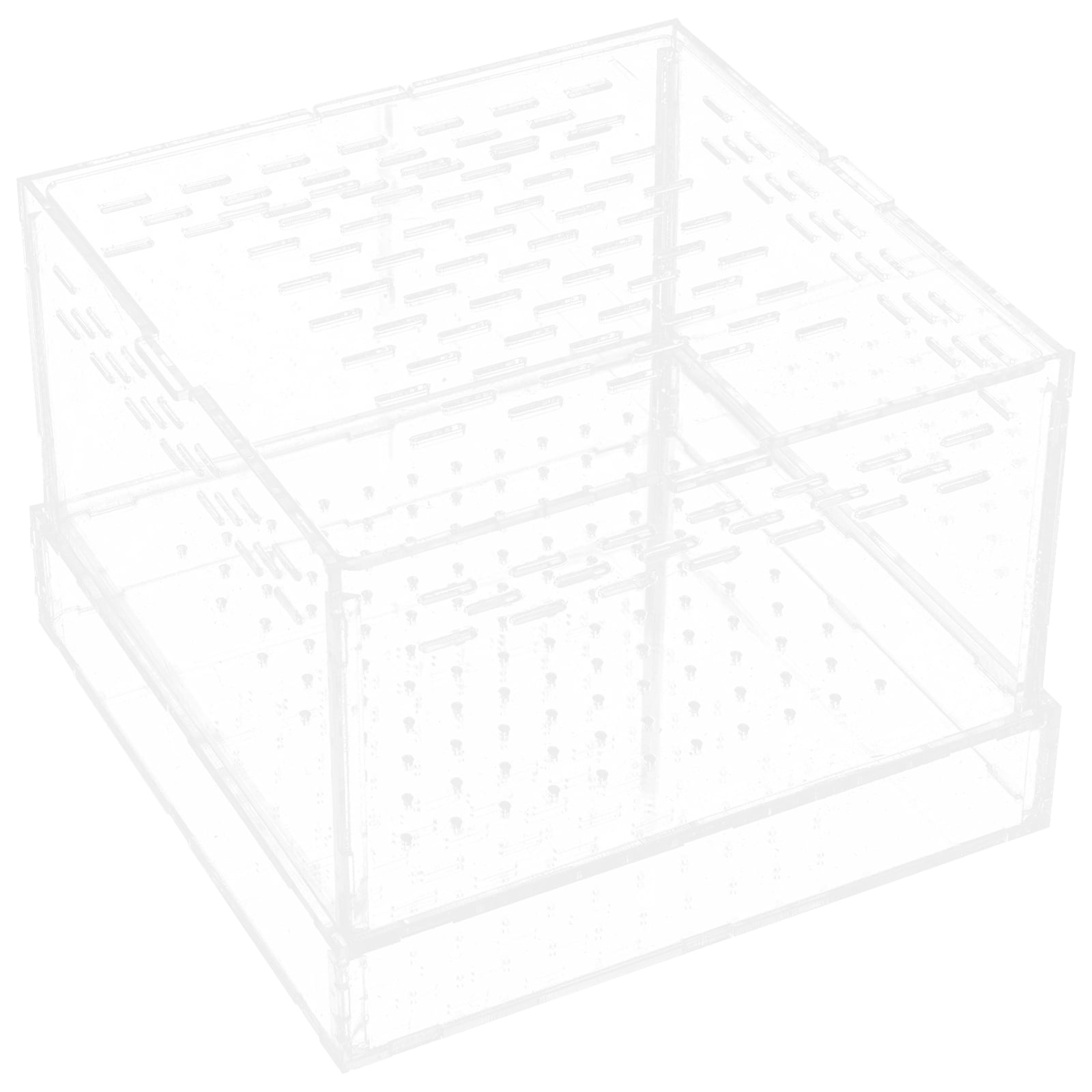 Jumping Spider Habitat Cricket Keeper Animal Snail Enclosure Mealworm