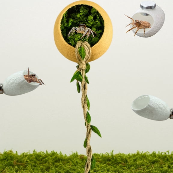 Jumping Spider Accessories Small Spider Hanging Natural Terrarium Decor Set, with Hammock Hideout with Rope Bridge & 3 Silk Cocoon Huts, White