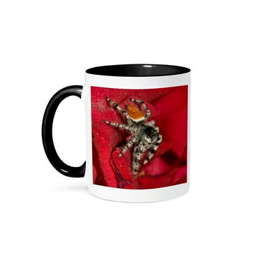 3dRose, Jumping Spider, Southern California - NA02 DNO0595 - David Northcott, 11oz Two-Tone Black Mug