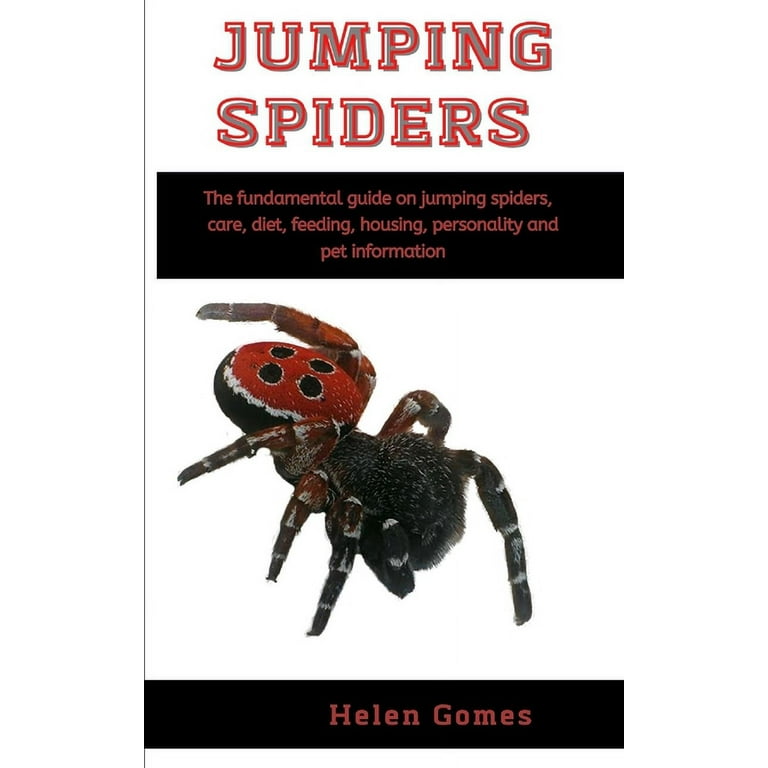 JUMPING SPIDER - Cambridge English Dictionary