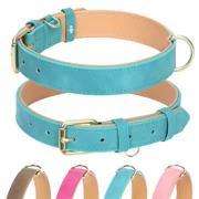 Jumpress Leather Dog Collar for Medium Dogs, Heavy Duty Soft Padded Medium Dogs Collar Teal, M