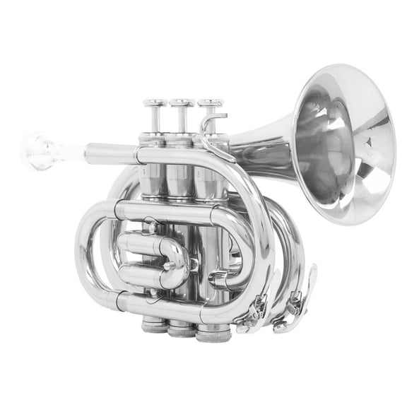 JunZheHub Bb Pocket Trumpet Compact Pocket Trumpet Portable Mini Brass Instrument for Jet-Setters, Beginners, Travel, Home Rehearsal Music Lessons