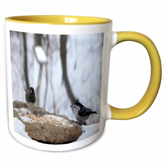 3drose, Junco and Nuthatch Birds with Birdhouse, 15oz Two-tone Yellow Mug