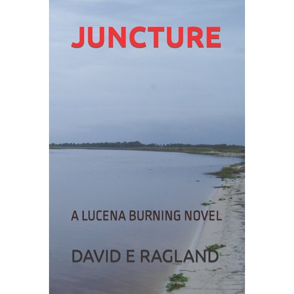 Juncture: A Lucena Burning Novel