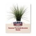 thumbnail image 1 of Juncus Seeds - Twisted Arrows Multi-Pelleted Variety Juncus Seeds - Non-GMO - 50 Seeds, 1 of 5