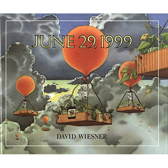 Pre-Owned June 29, 1999: A Picture Book (Hardcover) 0395597625 9780395597620