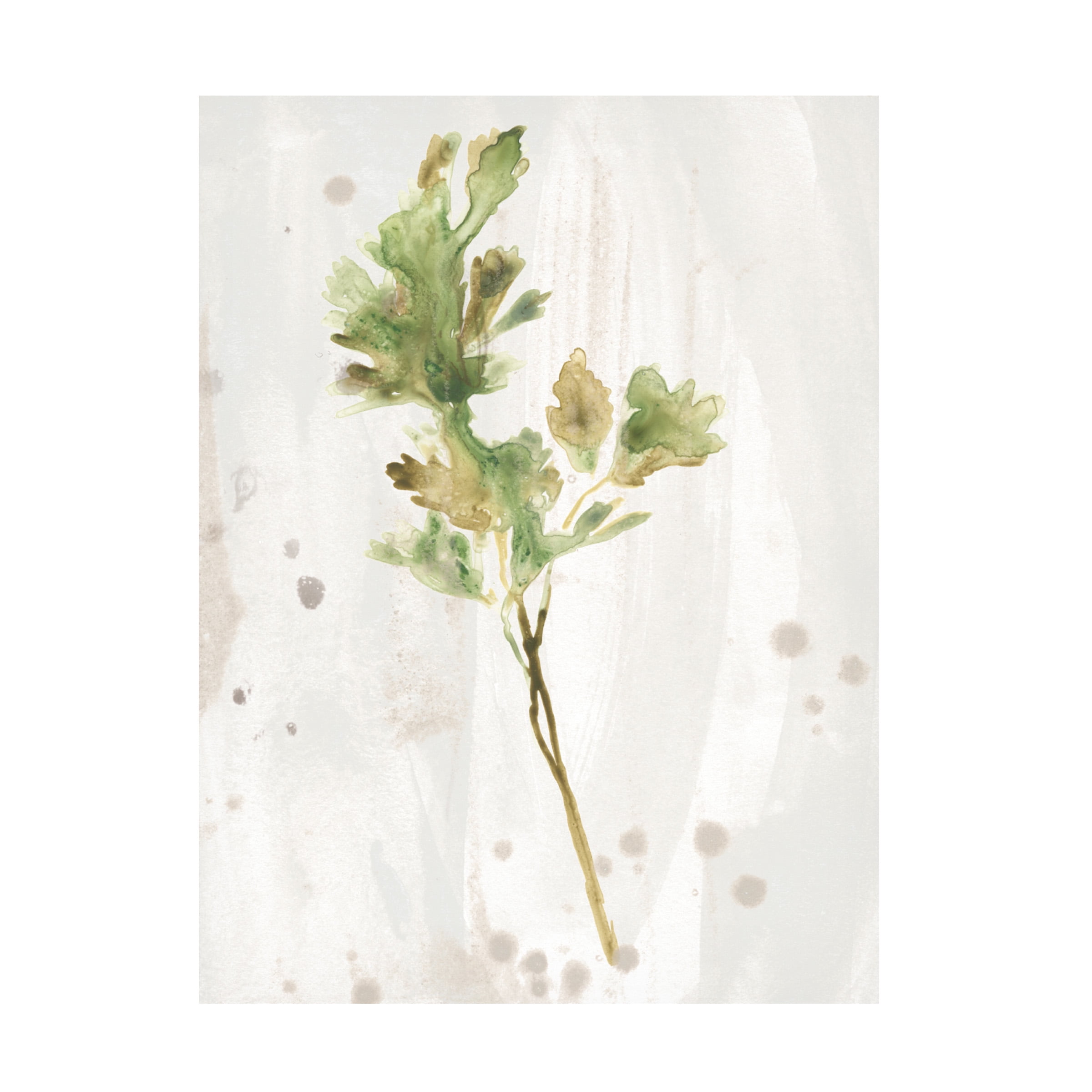 June Erica Vess 'Antique Earthtone Herbs I' Canvas Art