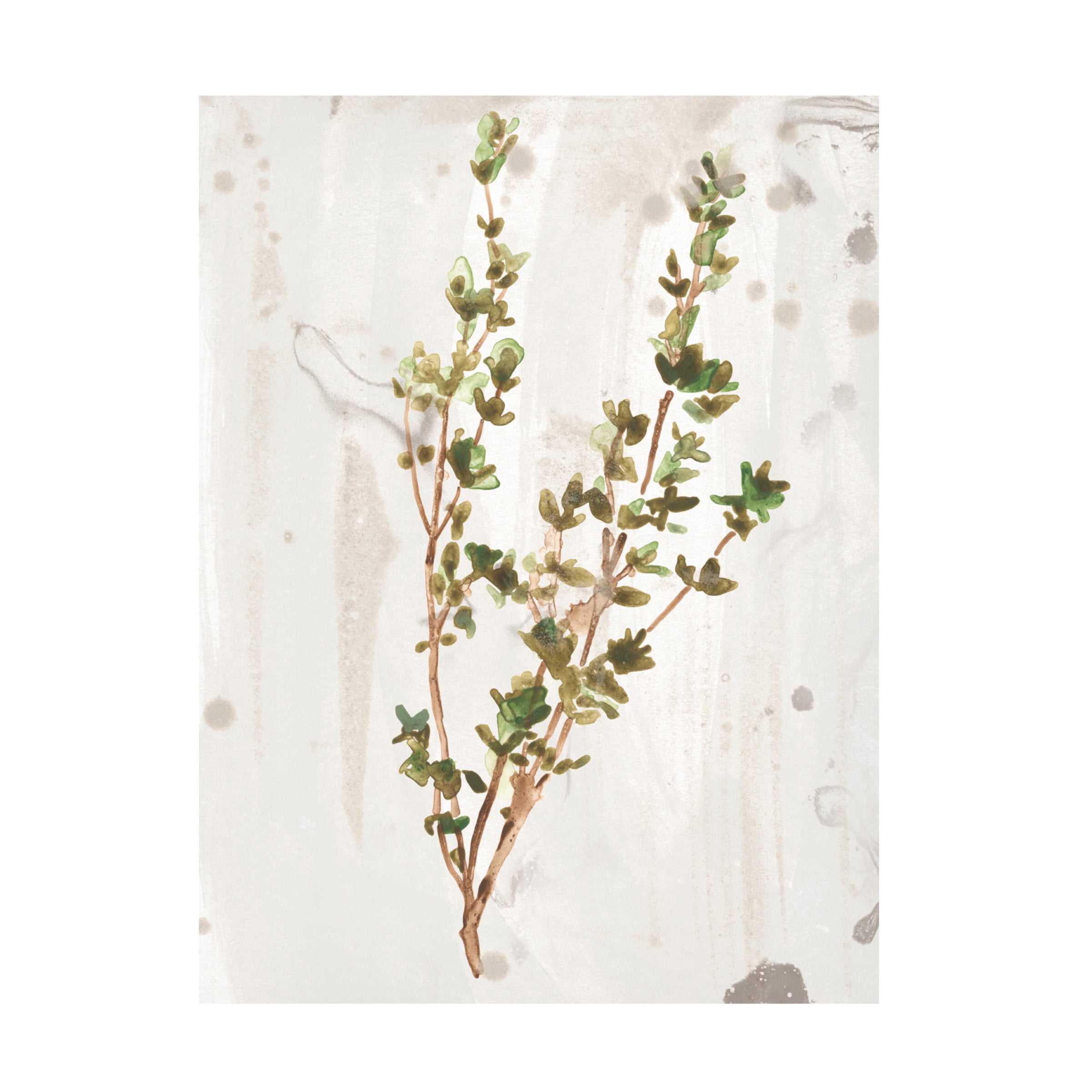 June Erica Vess 'Antique Earthtone Herbs II' Canvas Art