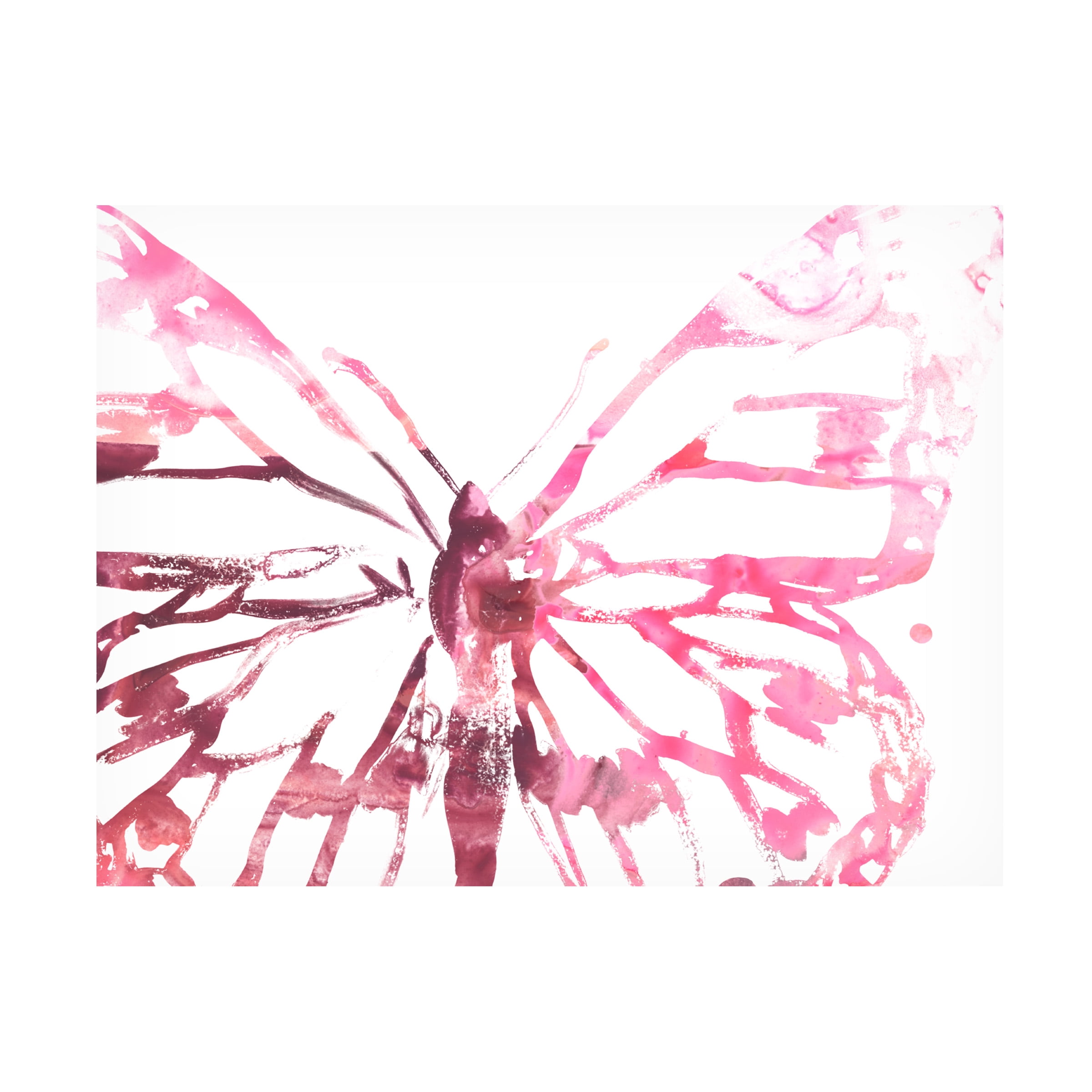 June Erica Vess 'Butterfly Imprint II' Canvas Art