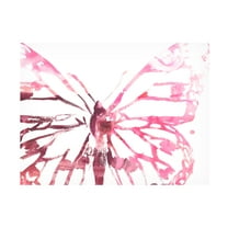 June Erica Vess 'Butterfly Imprint II' Canvas Art