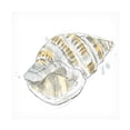 thumbnail image 1 of June Erica Vess 'Citron Shell Sketch I' Canvas Art, 1 of 3