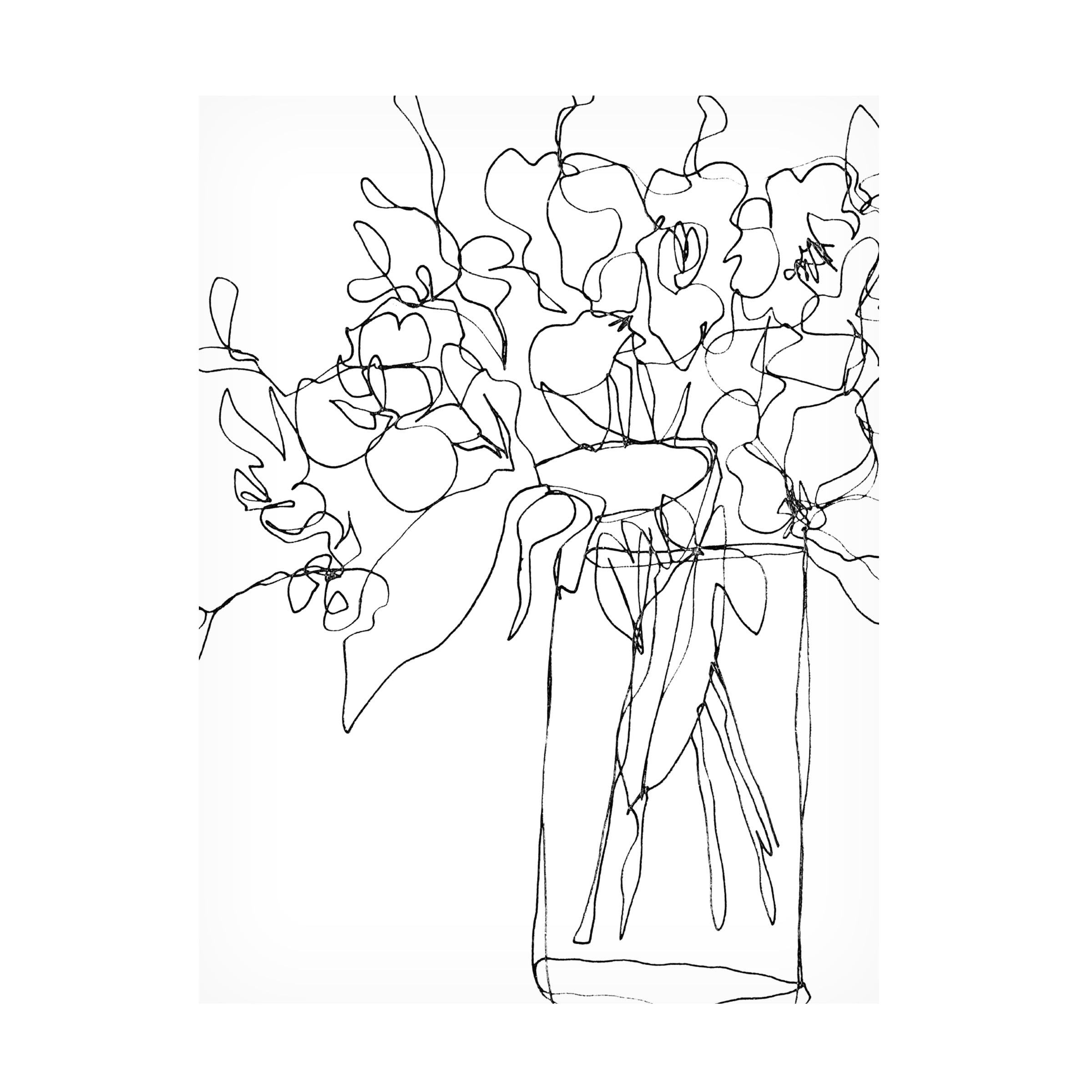 June Erica Vess 'Contour Bouquet II' Canvas Art