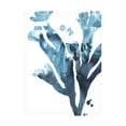 thumbnail image 1 of June Erica Vess 'Inkwash Kelp II' Canvas Art, 1 of 3