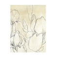 thumbnail image 1 of June Erica Vess 'Iris Garden Sketch I' Canvas Art, 1 of 4