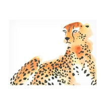 June Erica Vess 'Majestic Cheetah I' Canvas Art