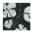 thumbnail image 1 of June Erica Vess 'Monochrome Meadow II' Canvas Art, 1 of 3