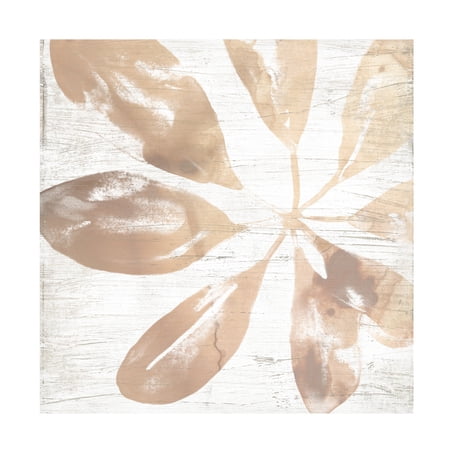 June Erica Vess 'Neutral Palm Fossil III' Canvas Art