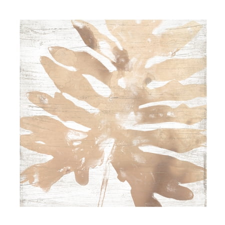 June Erica Vess 'Neutral Palm Fossil V' Canvas Art