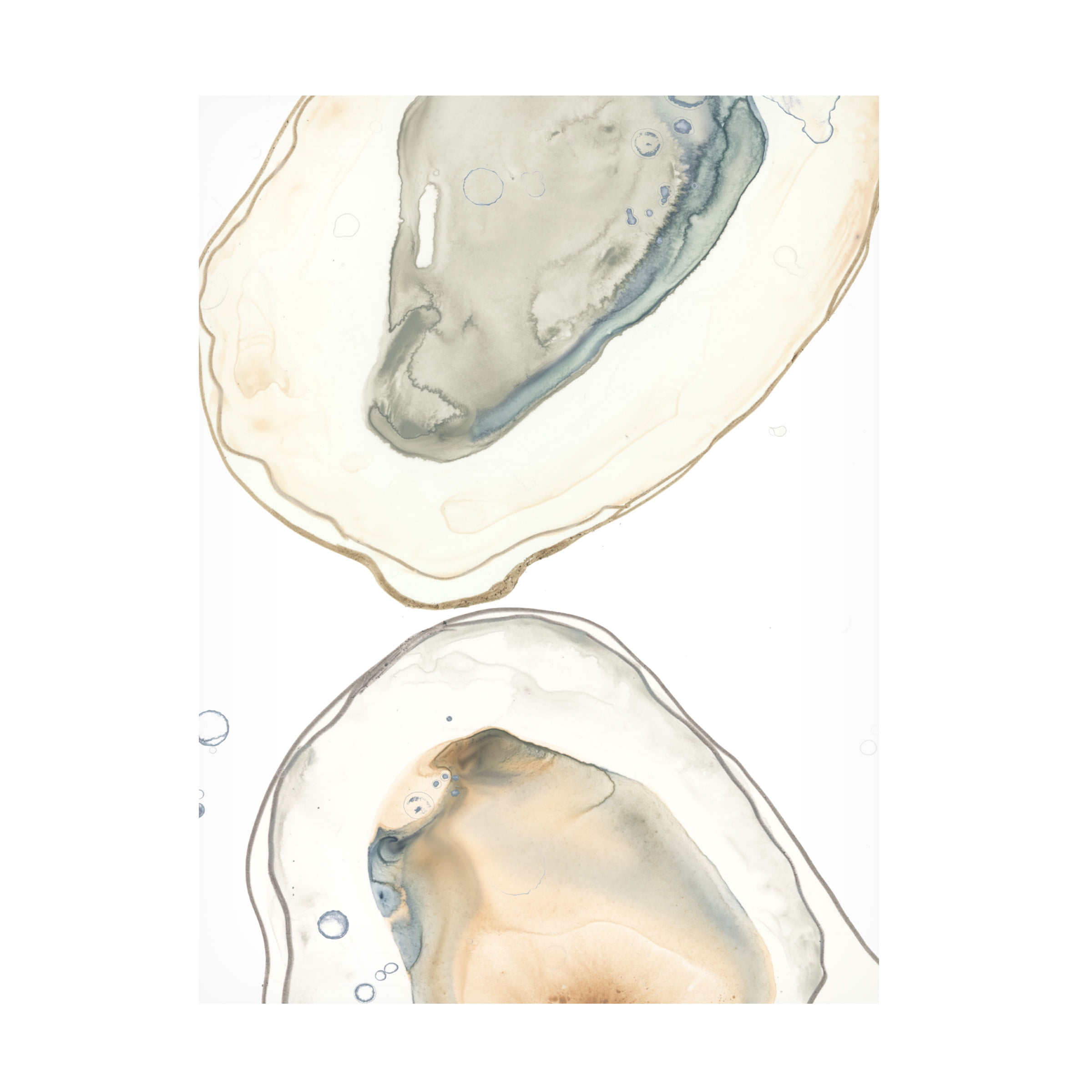 June Erica Vess 'Ocean Oysters II' Canvas Art