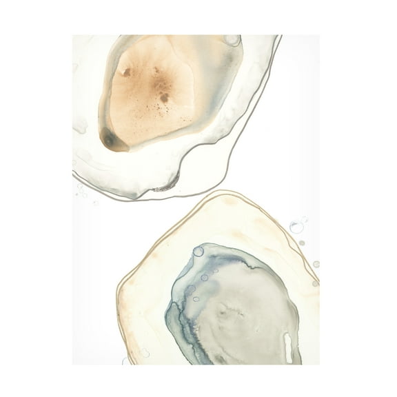 June Erica Vess 'Ocean Oysters III' Canvas Art