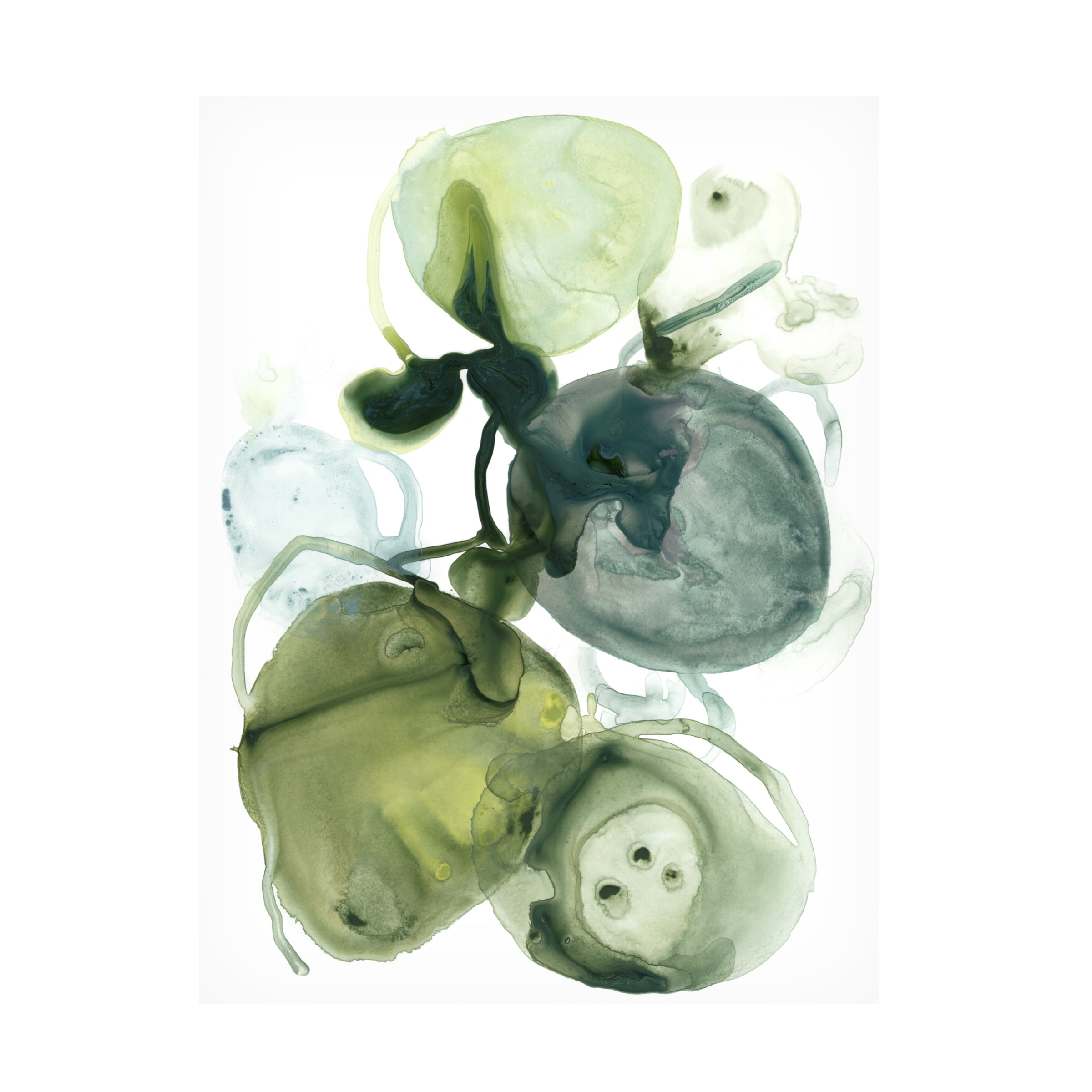June Erica Vess 'Orbital Lichen I' Canvas Art
