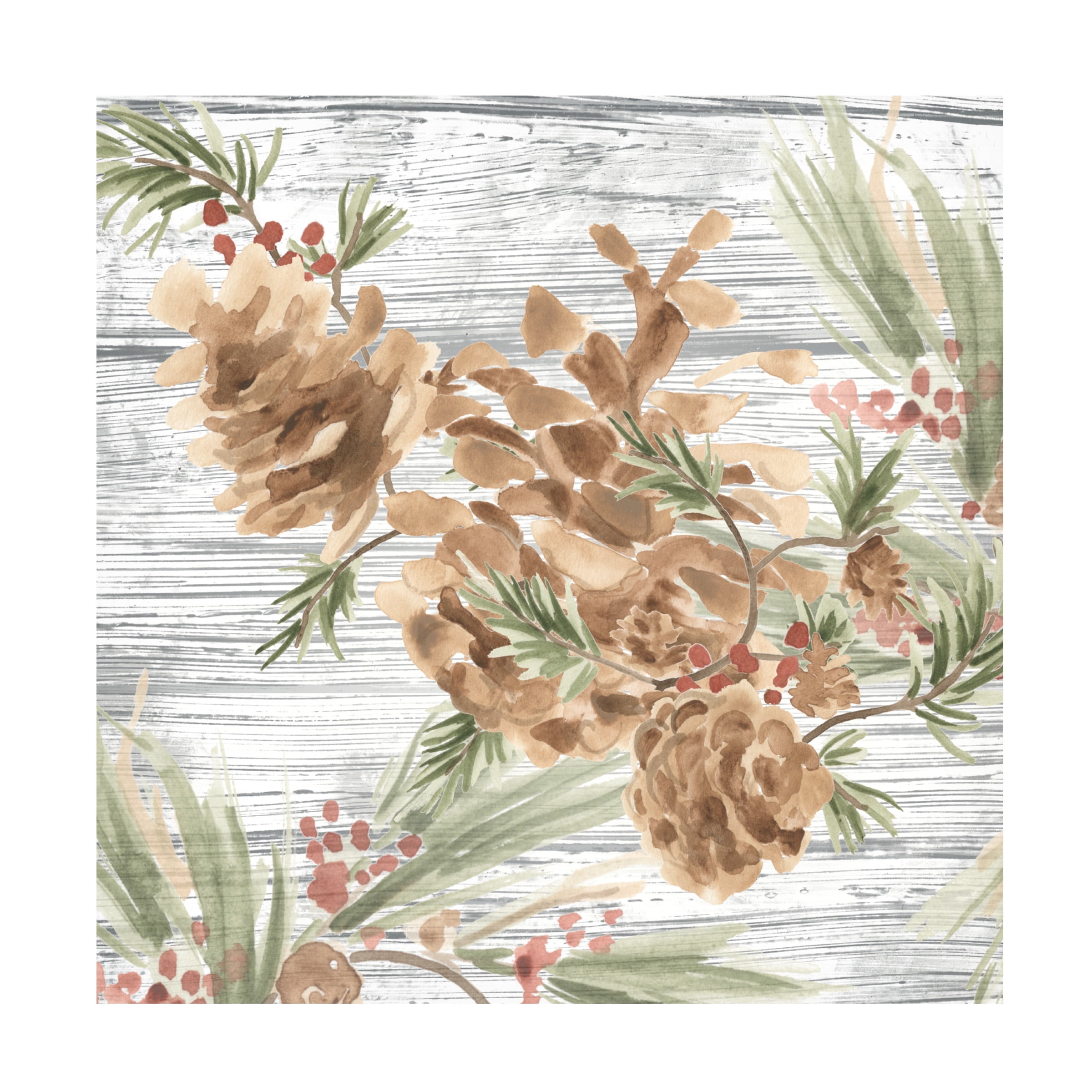 June Erica Vess 'Pinecone Lodge III' Canvas Art