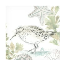 June Erica Vess 'Seaside Sandpipers II' Canvas Art