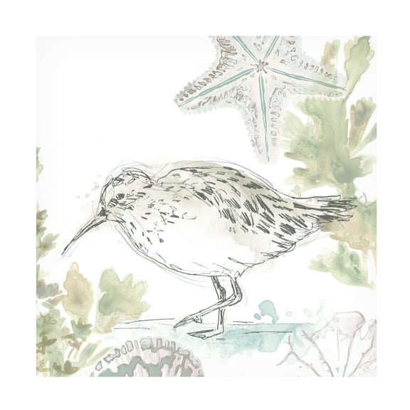 June Erica Vess 'Seaside Sandpipers II' Canvas Art