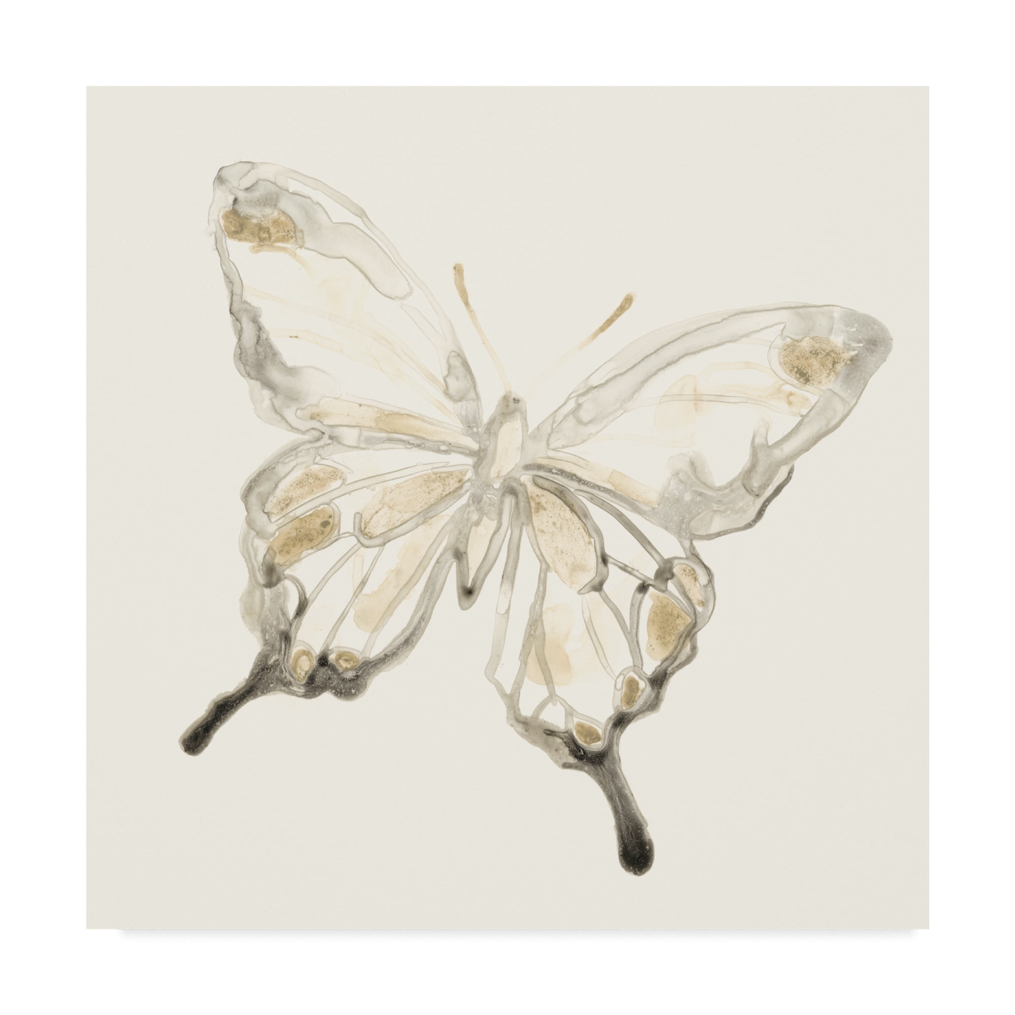 June Erica Vess 'Sepia Butterfly Impressions Iv' Canvas Art