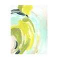 thumbnail image 1 of June Erica Vess 'Tidal Vortex IV' Canvas Art, 1 of 3