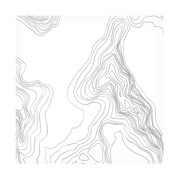 June Erica Vess 'Topography Contour IV' Canvas Art