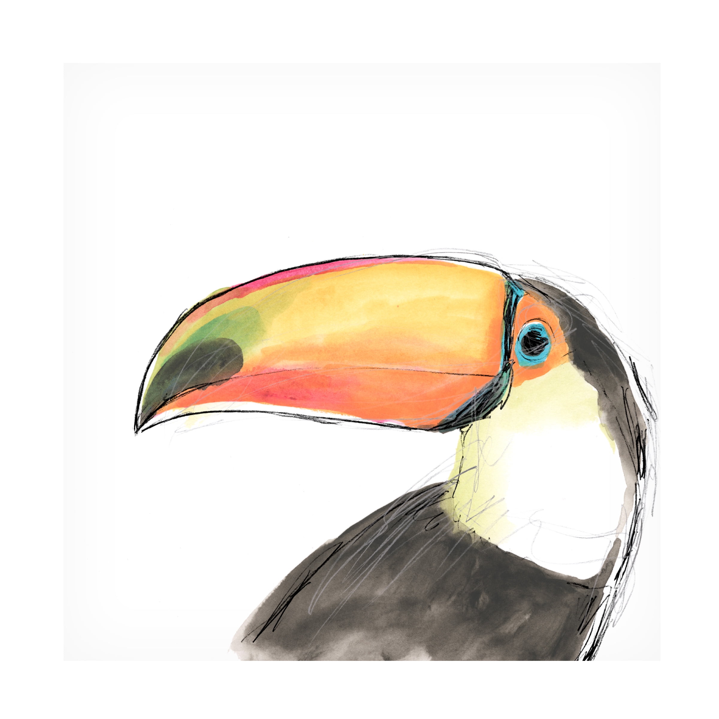 June Erica Vess 'Tropical Bird Portrait III' Canvas Art