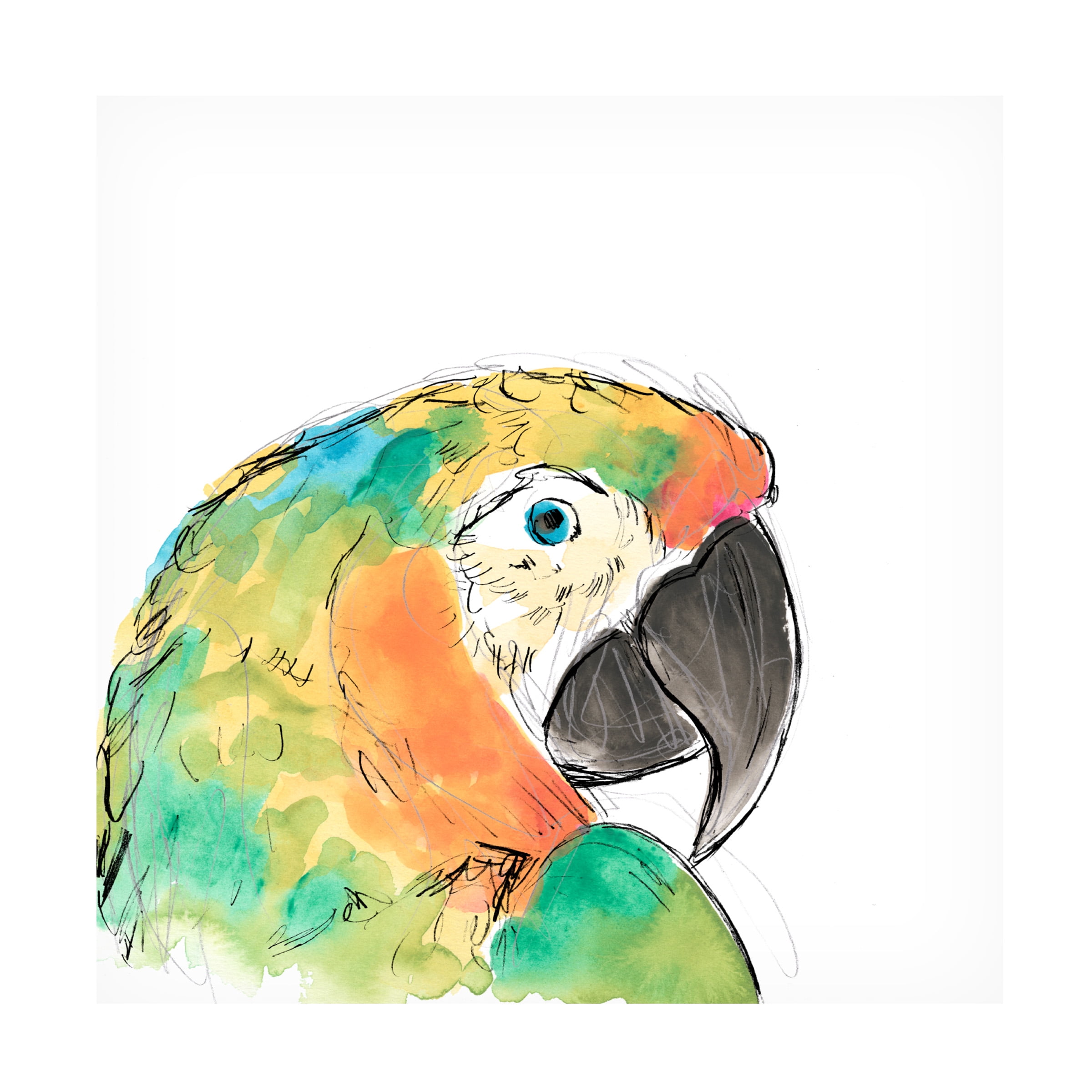 June Erica Vess 'Tropical Bird Portrait IV' Canvas Art