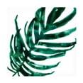 thumbnail image 1 of June Erica Vess 'Tropical Jewel VI' Canvas Art, 1 of 3
