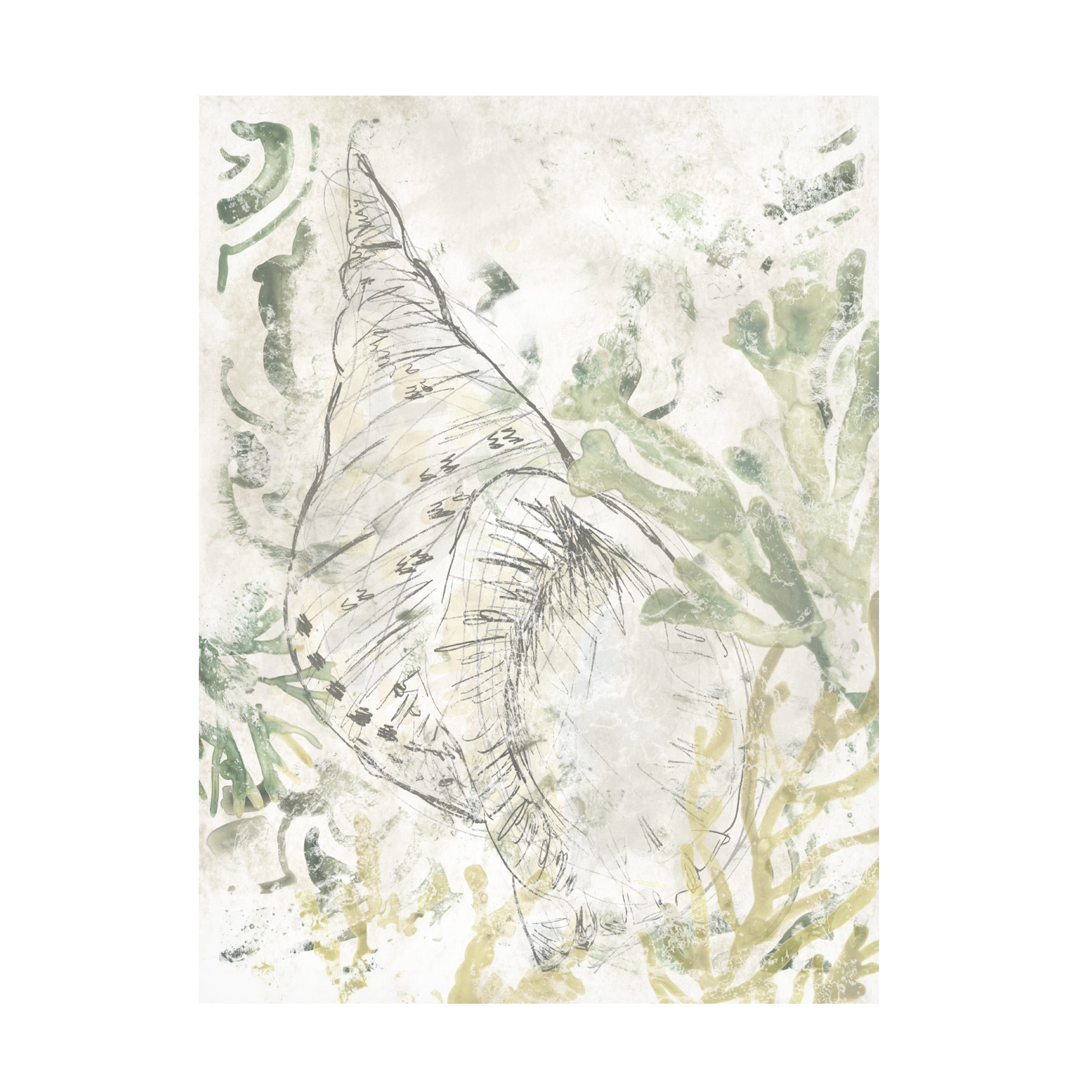 June Erica Vess 'Verdant Shell Fresco II' Canvas Art
