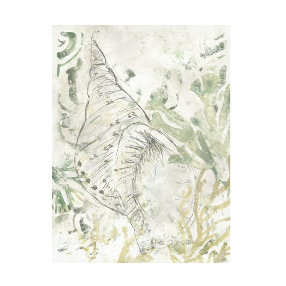 June Erica Vess 'Verdant Shell Fresco II' Canvas Art