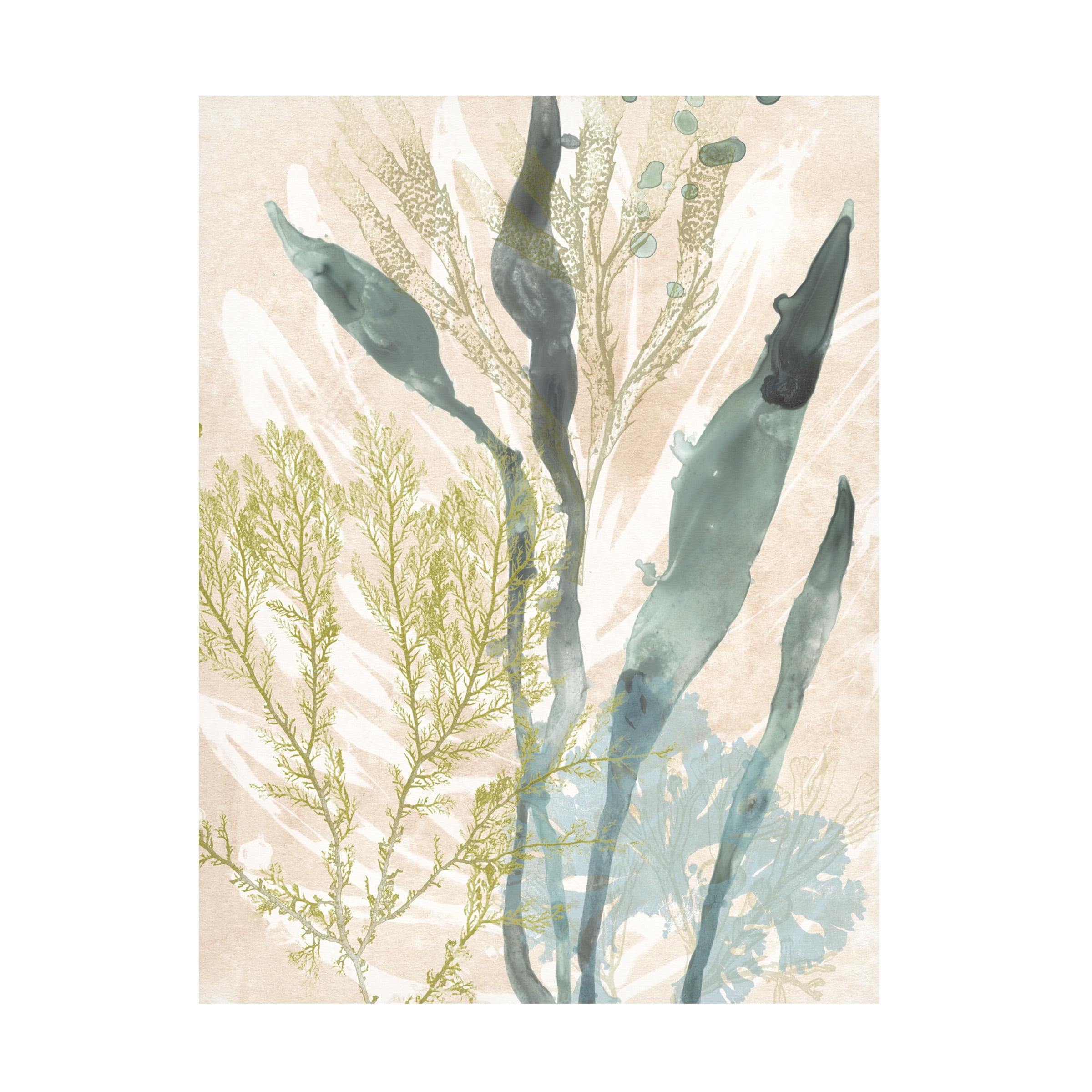 June Erica Vess 'Vintage Ocean Jewels I' Canvas Art