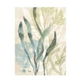 thumbnail image 1 of June Erica Vess 'Vintage Ocean Jewels II' Canvas Art, 1 of 4