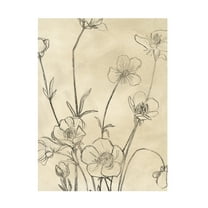 June Erica Vess 'Vintage Wildflowers I' Canvas Art