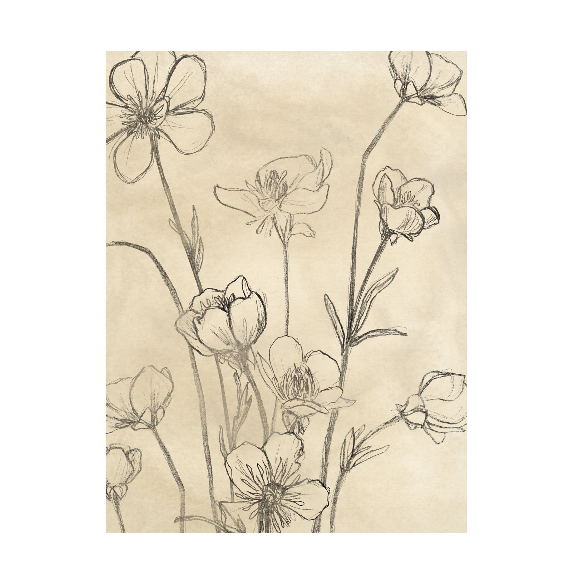 June Erica Vess 'Vintage Wildflowers II' Canvas Art
