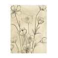 thumbnail image 1 of June Erica Vess 'Vintage Wildflowers II' Canvas Art, 1 of 4