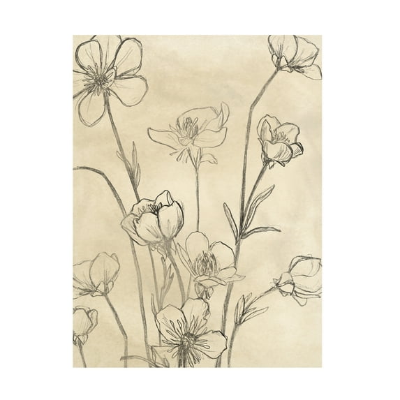 June Erica Vess 'Vintage Wildflowers II' Canvas Art