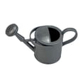 thumbnail image 1 of Junepar Mini Watering Can Metal Small Watering Kettle for Indoor Outdoor Fun Toy Gardening Photo Prop Grey, 1 of 8