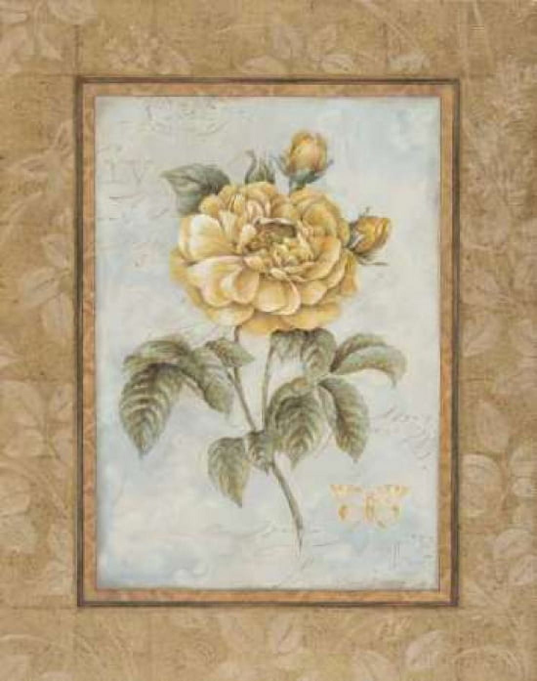 Junes Promise II Canvas Art - Pamela Gladding (22 x 28)