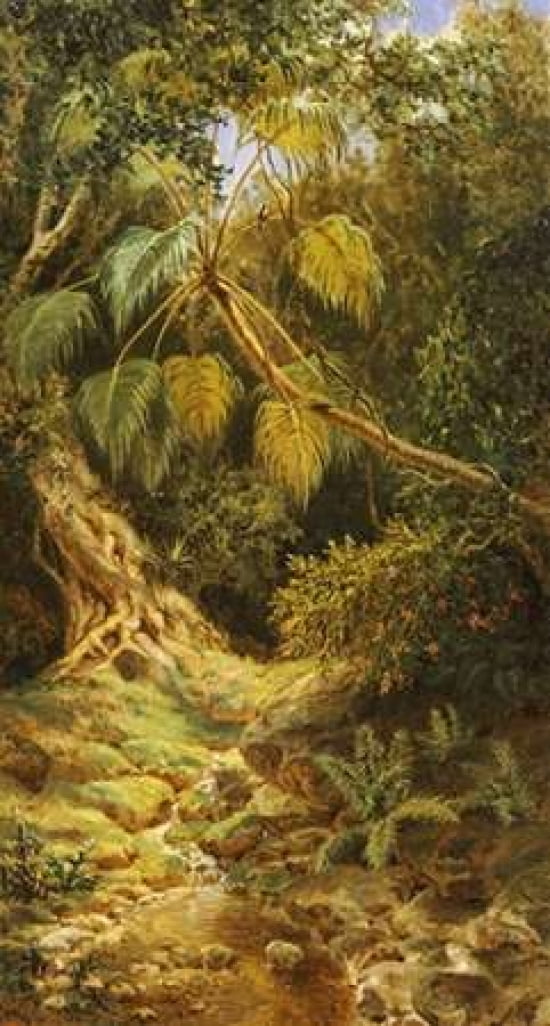 Jungala Cubana Canvas Art - Esteban Chartrand (12 x 18)