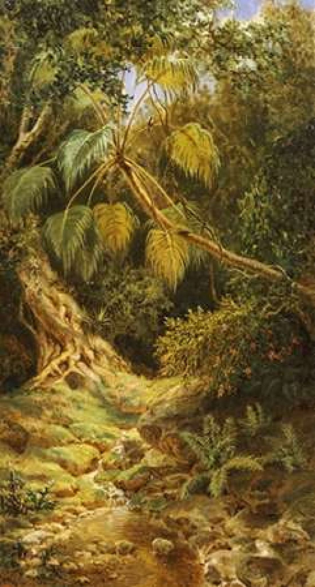Jungala Cubana Canvas Art - Esteban Chartrand (24 x 36)