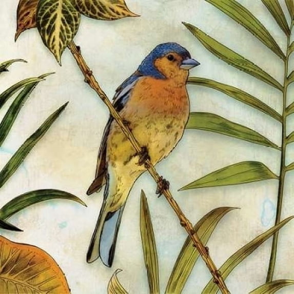 Jungle Bird II Poster Print by Edward Selkirk (12 x 12)