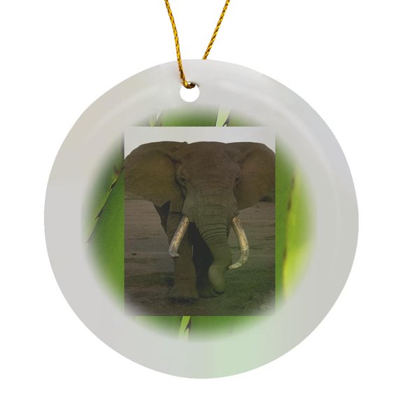 3drose, Jungle Elephant, Circle Porcelain Ornament